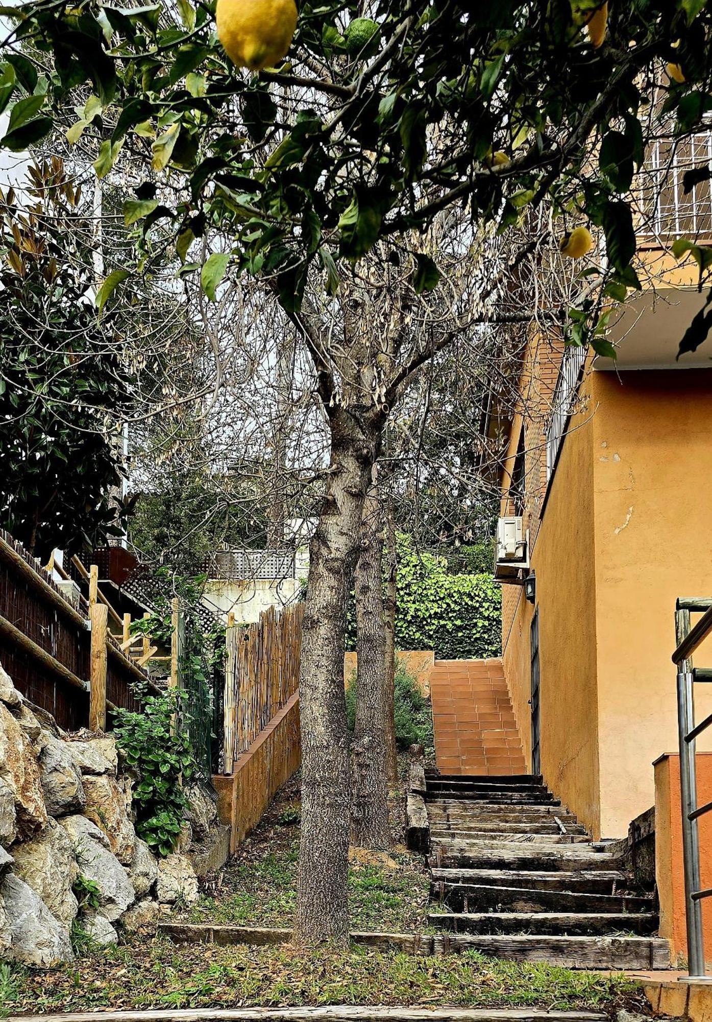 Villa Cal Nene - Plamun Es Begur Exterior foto